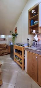 een keuken met een wastafel en een aanrecht bij Orchid Gardens; Studio Apartment, minimalist in Kampala