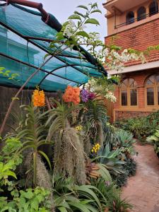 een tuin met bloemen en planten voor een gebouw bij Orchid Gardens; Studio Apartment, minimalist in Kampala