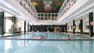 Surbiton的住宿－Luxury Ensuite Rooms in Surbiton, An easy acess to central London，一群人在游泳池游泳