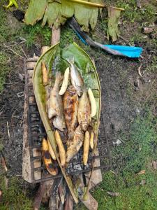 un montón de peces en una hoja de plátano en Amazon tucuxi, en Mazán