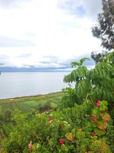 Gallery image of kawsay Wasi Lodge in Amantani +2 photos