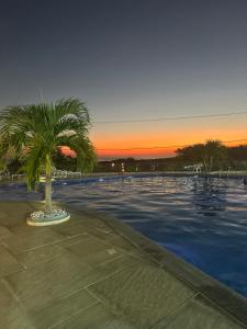 uma palmeira sentada ao lado de uma piscina em Apartamento Por do sol Le Bon Vivant em Arraial do Cabo