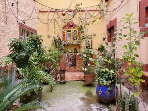 un jardín con macetas y un edificio en In the heart of Rome, en Ciudad de México