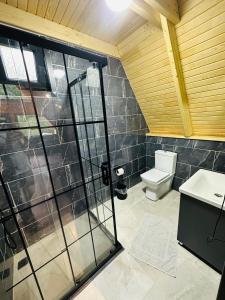 a bathroom with a glass shower and a toilet at Sapanca yeşilvadi 2+1 sıcak havuz,jakuzi,göl manzr in Sakarya