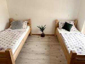 a bedroom with two beds and a potted plant at Ubytování JANOVKA in Žár