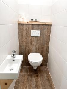 a bathroom with a toilet and a sink at Ubytování JANOVKA in Žár