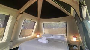 WongaにあるDaintree Beach Resortのテント内のベッド1台(タオル2枚付)