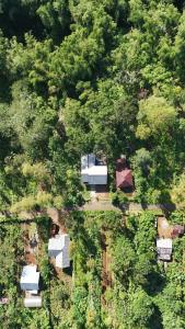 una vista aérea de una casa en el bosque en Wisma PO'ONG en Ruteng