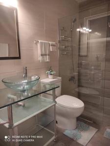 a bathroom with a glass sink and a toilet at tropicana sur apt221 in Sosúa