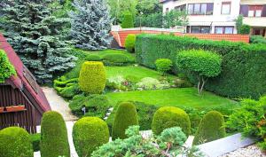 een tuin met groene struiken en bomen en een huis bij Hotel Molnár in Boedapest