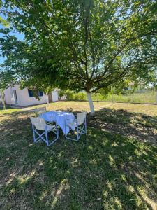 a table and two chairs under a tree at ANASTASIA HOUSE in Sozopoli