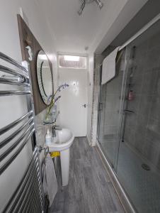 a bathroom with a shower and a sink and a toilet at Walkers haven in Canterbury