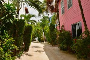 Palmetto Garden Cottage في كاي كولكر: زقاق بين مبنيين مع منزل وردي