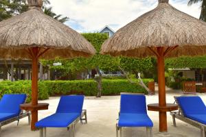 Palmetto Garden Cottage في كاي كولكر: مجموعة من الكراسي الزرقاء والمظلات على الفناء +13 صورة