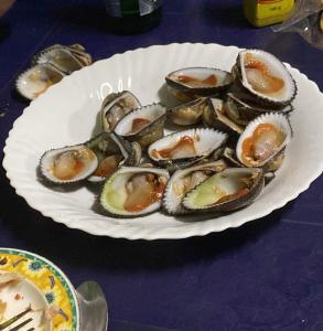 a plate of oysters on a purple table at Maison les pieds dans l'eau (Ramena) in Andjamen