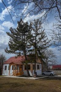 Fotografie z fotogalerie ubytování Edits Home v destinaci Dsegh