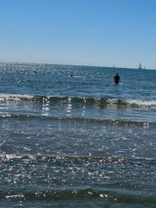 Příroda nedaleko apartmánu + 1 fotografie