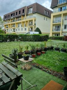 un jardín con macetas frente a un edificio en L'univers au blanc., en Estrasburgo 22 fotos más