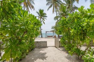 a path through the trees on the beach at Veli Vilaa Dhiffushi - Beachfront in Dhiffushi +74 photos
