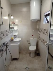 a bathroom with a toilet and a sink at Chergata Guest House in Zheglitsa