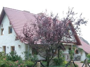 BodstedtにあるHaus Jasminの赤屋根の大白屋敷
