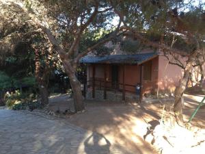 una pequeña casa con un árbol delante en Casa Elena vicino al Mare, en Porto Pino 13 fotos más