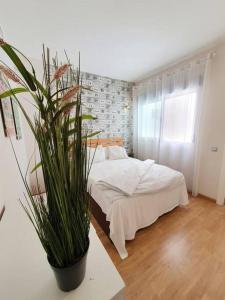 1 dormitorio con 1 cama y una maceta en Modern apartment a few minutes to the center - TriP, en Málaga