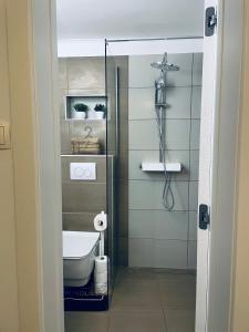 ein Bad mit einem WC und einer Dusche in der Unterkunft Kuća za odmor “Dida” in Stinica