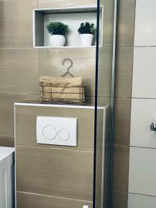 ein Badezimmer mit einer Dusche mit einer Waage auf einem Regal in der Unterkunft Kuća za odmor “Dida” in Stinica