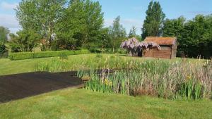 a garden with a wooden shed and a pond at Brabant17 in Poperinge