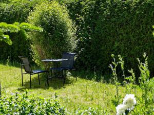 two chairs and a table in the grass at Ferienwohnung Alte Dorfschule in Lüssow