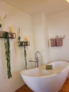 een wit bad in een badkamer met planten aan de muur bij Wohnen am Dom in Geisenheim