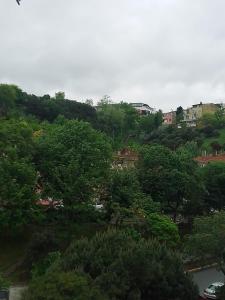 un grupo de árboles y edificios en una colina en Miracle HYLen Hotel, en Estambul