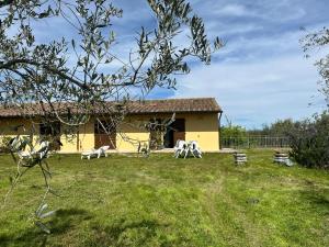 a yellow house with two white chairs in a yard at Casa Regina in Val di Pugna