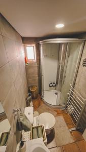 a bathroom with a shower and a sink and a toilet at Casa Fonte Fria in Pitões das Júnias