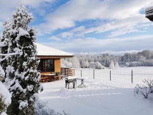 a log cabin with a picnic table in the snow at ''Ābeļdārzs'' in Jelgava