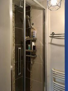 a shower in a bathroom with a glass shower stall at Appart T2 avec cour in Tours