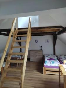 a room with a bunk bed and a ladder at Penzion Hrnčíře in Benešov
