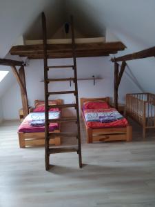 a bedroom with two bunk beds and a ladder at Penzion Hrnčíře in Benešov