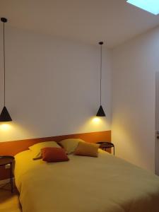 1 dormitorio con 1 cama blanca grande y 2 almohadas en Le petit 1881, en Ampuis