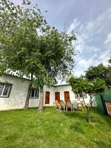 a house with two trees and chairs in the yard at Bahaus Resort in Dalyan