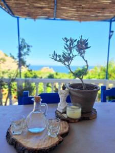 uma mesa com um pote de árvore e copos sobre ela em Aegean Serenity - Sea View Retreat em Archangelos