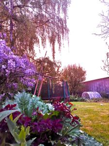 un jardín con flores púrpuras en un patio en La FERME DU TILLEUL Chambres d hôtes tout conforts - familiale - entre amis - pro en Conchy-les-Pots