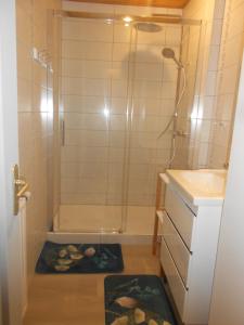 een badkamer met een douche en een wastafel bij bouton d or in La Bresse +9 foto's