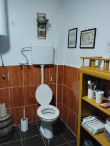 a bathroom with a white toilet in a room at Mini-Camp SKELICA in Neštin +13 photos