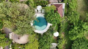 una vista aérea de una piscina en un bosque en Bodhi Bingin en Uluwatu