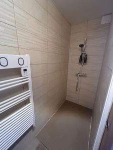 W łazience znajduje się kabina prysznicowa. w obiekcie Charmant appartement F1 w mieście Saint-Dizier