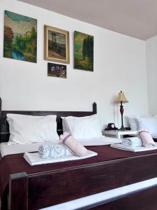 two beds with pillows on them in a bedroom at Casa Trandafirilor in Tulcea