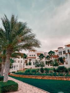 een palmboom voor een wit gebouw bij Sifah Inn in As Sīfah