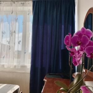 Fotografie z fotogalerie ubytování Hotel Nostalgia v Senci